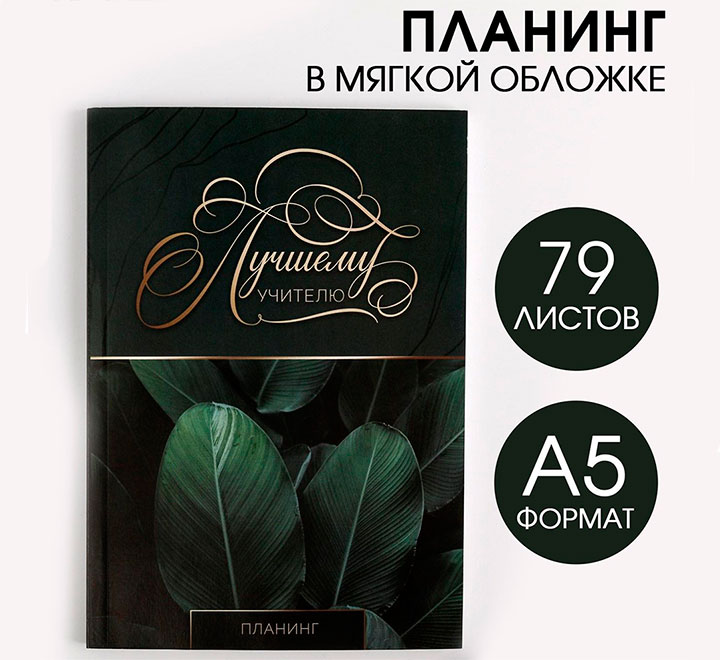 Планинг "Лучшему учителю"