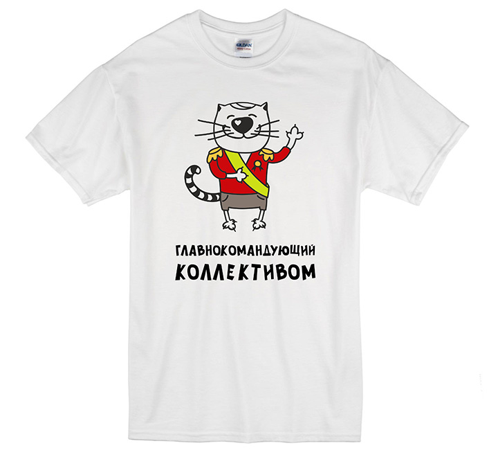 Футболка мужская "Главнокомандующий коллективом" кот